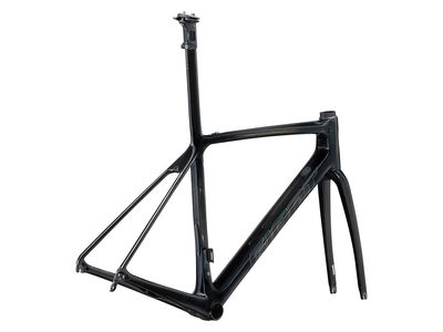 Giant TCR Advanced SL Frameset Carbon click to zoom image