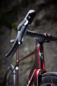 Giant TCR Advanced SL 0 DA click to zoom image