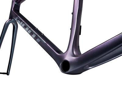 Giant TCR Advanced Pro Frameset click to zoom image