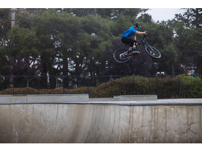 Giant Trance X 1 click to zoom image
