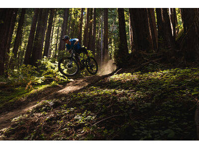 Giant Trance X 1 click to zoom image