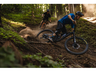 Giant Trance X 1 click to zoom image