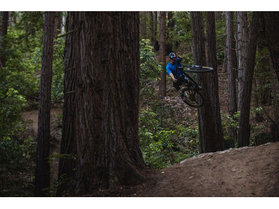 Giant Trance X 1 click to zoom image