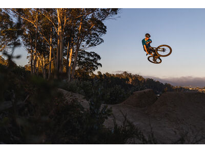 Giant Trance X 1 click to zoom image