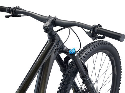 Giant Trance X 29 1 click to zoom image