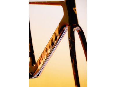 Giant Propel Advanced SL Frameset click to zoom image