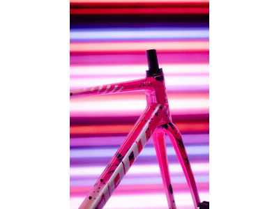 Giant TCR Advanced Pro Frameset click to zoom image