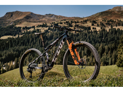 Giant Anthem Advanced SL SE World Champion Frameset click to zoom image