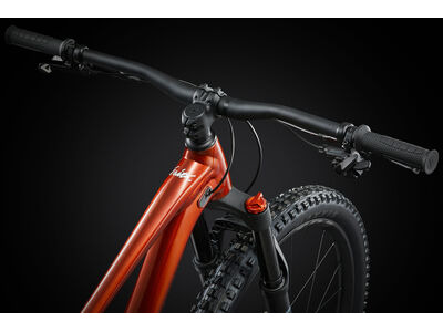 Giant Faith click to zoom image