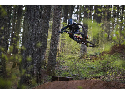 Giant Faith click to zoom image