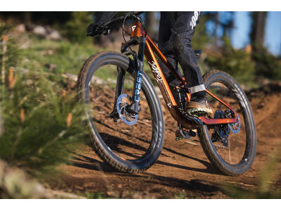 Giant Faith click to zoom image