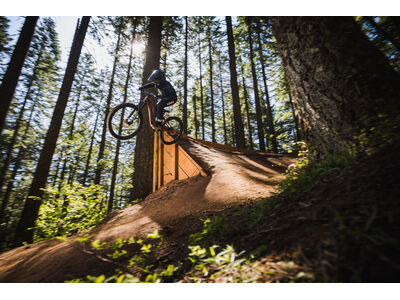 Giant Faith click to zoom image