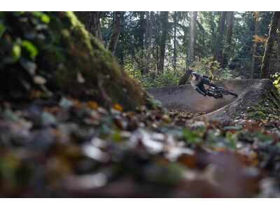 Giant STP 26 Quicksilver click to zoom image