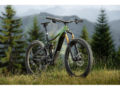 Giant Reign E+ 0 Pro (625Wh Version) click to zoom image