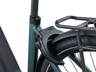 Giant NewTour E+ 3 LST Kelp Forest click to zoom image