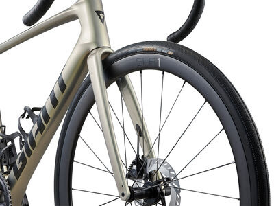 Giant Defy Advanced SL 1 Golden Haze / Panther click to zoom image