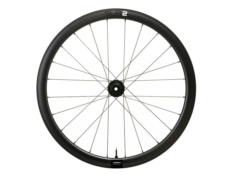 Giant SLR 2 42 Disc Carbon WheelSystem Rear click to zoom image