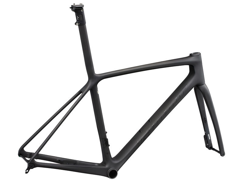 Giant TCR Advanced SL Disc Frameset Raw Carbon click to zoom image