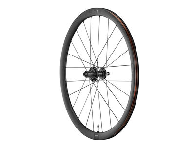 Giant SLR 1 36 Disc Wheelsystem Rear click to zoom image