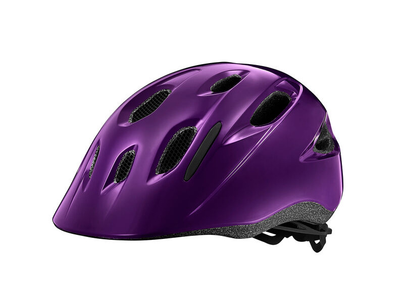 Giant Hoot ARX Kids Helmet Gloss Purple OSFM (50-55cm) click to zoom image
