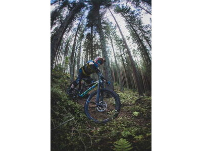 Vittoria Mota 29X2.4 Enduro 2-Fold Full Black 4C G2.0 Black Tyre click to zoom image