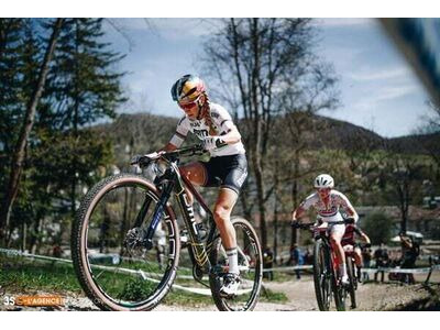 Vittoria Mezcal III TLR 29X2.25 XC UCI Edition Tyre click to zoom image