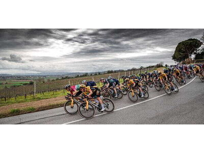 Vittoria Corsa Pro 23-28" Black Tan G2.0 Tubular Tyre click to zoom image