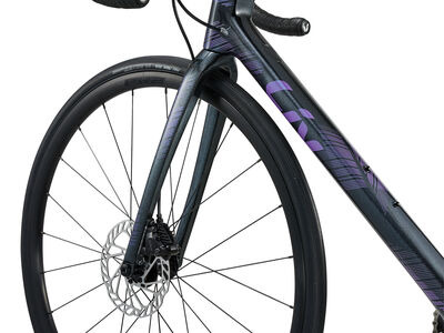 LIV Langma Advanced Disc 1 click to zoom image