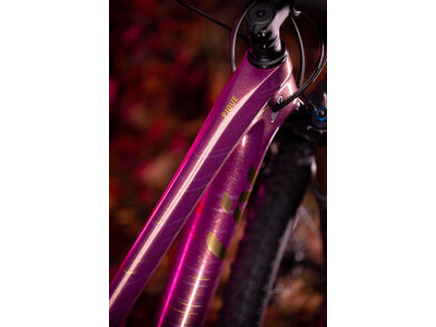 LIV Pique Advanced 29 0 click to zoom image