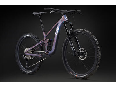 LIV Intrigue X 2 click to zoom image