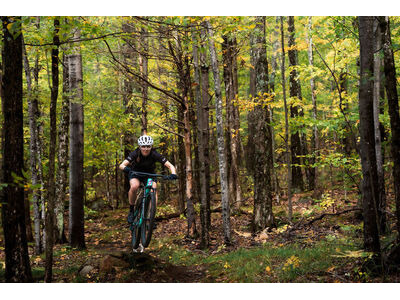 LIV Pique Advanced SL 1 Lake Green / Black click to zoom image