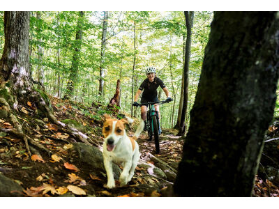 LIV Pique Advanced SL 1 Lake Green / Black click to zoom image