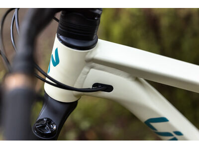 LIV Embolden Pale Moss click to zoom image