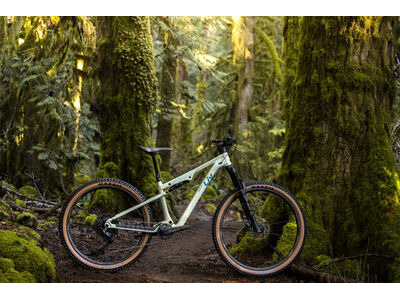 LIV Embolden Pale Moss click to zoom image