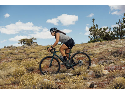 LIV Devote Advanced 2 Kelp Forest click to zoom image