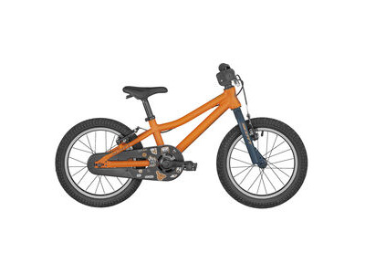 Scott Roxter 16 Vitamin Orange